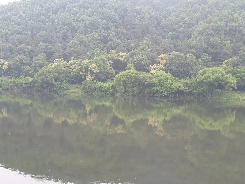 평화로운 금강의 모습