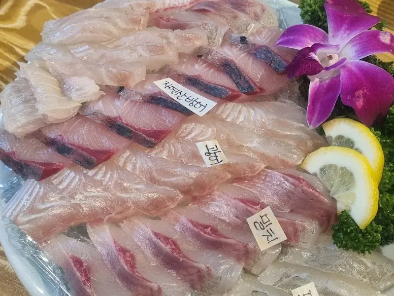 싱싱한 모듬회의 아름다운 자태