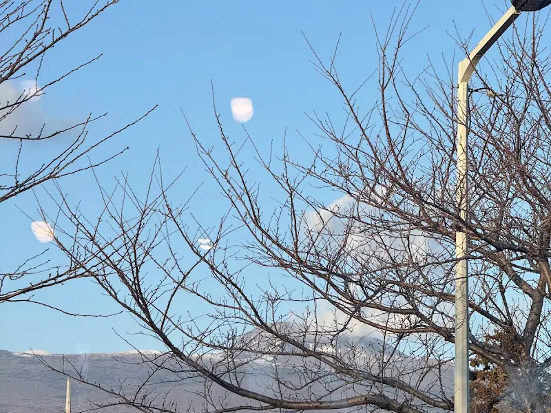 싱싱한 쌈 채소와 흑돼지의 환상적인 조합