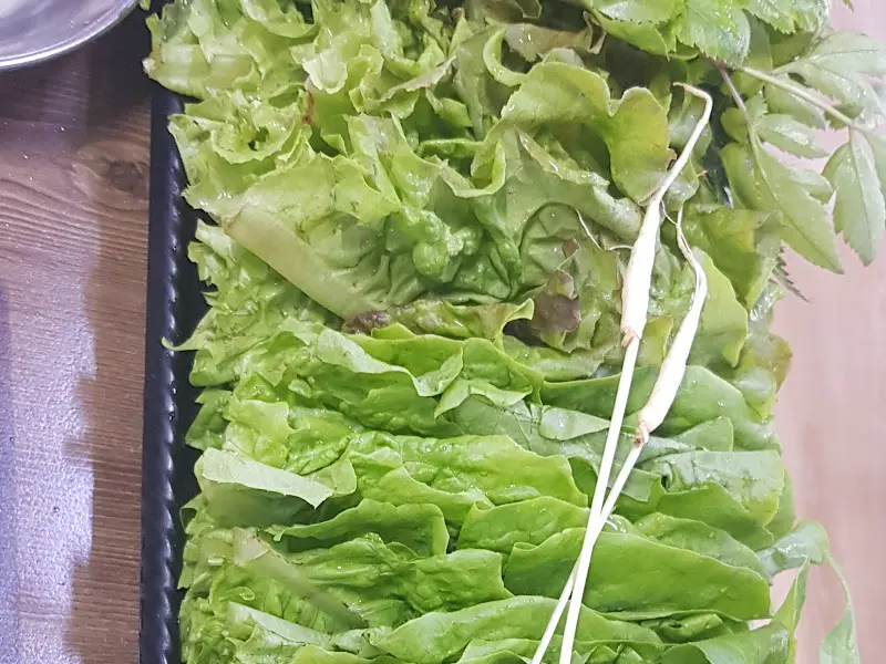 싱싱한 쌈 채소 모듬