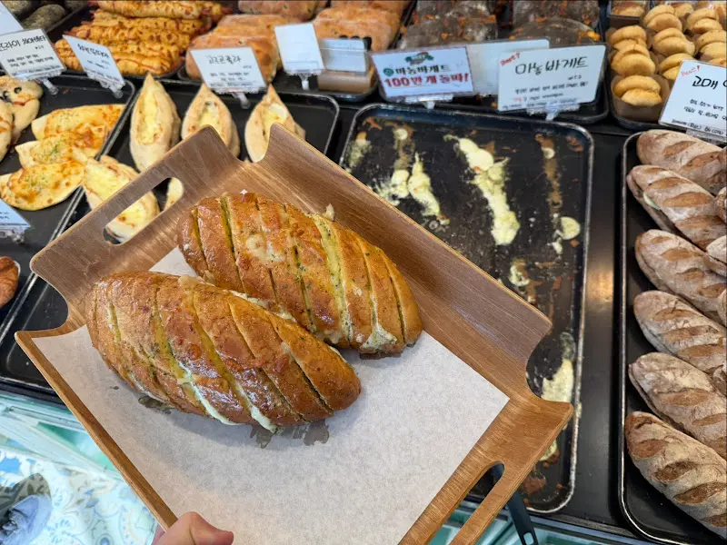 갓 구워져 나온 마농바게트