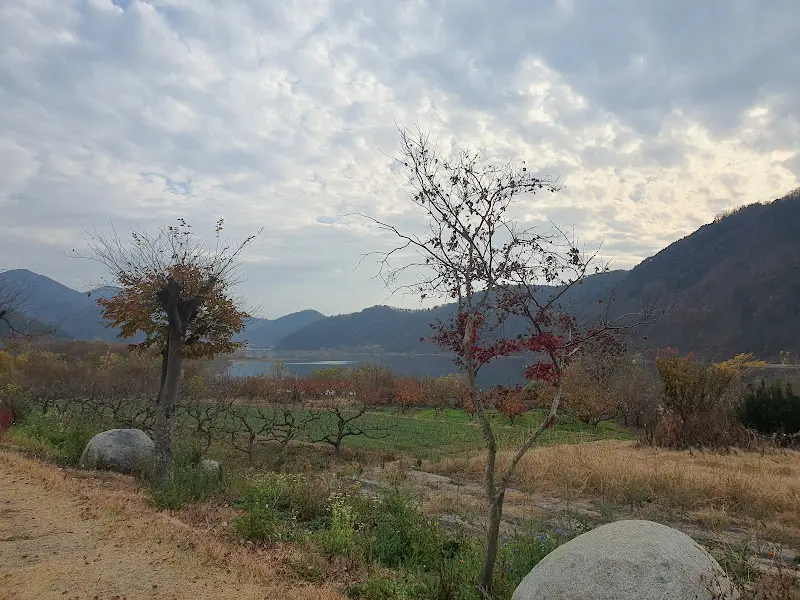 탁 트인 호수 뷰