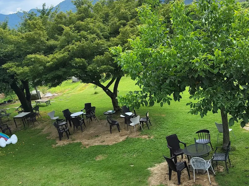 잔디밭에 놓인 테이블과 의자들