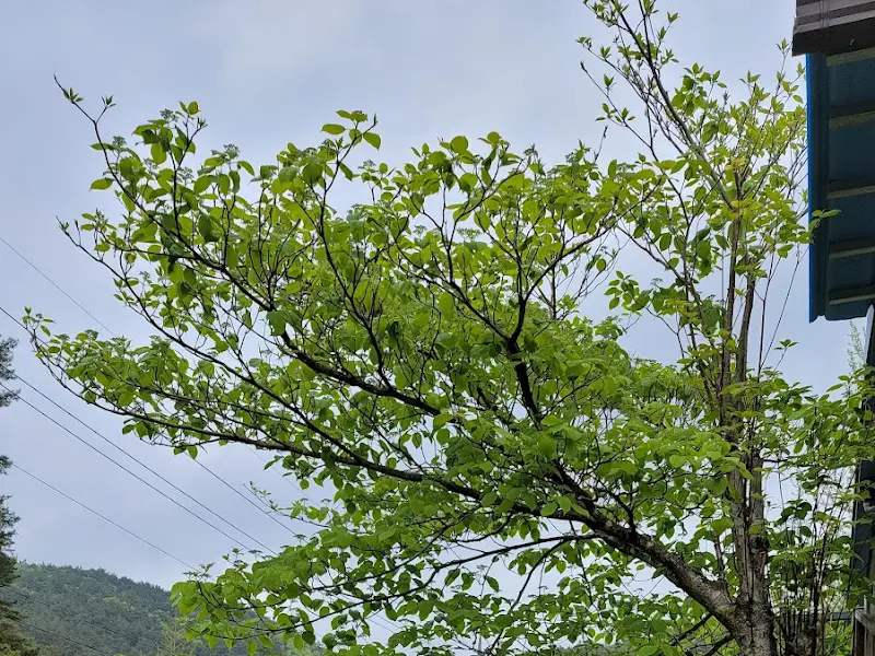 식당 주변 풍경