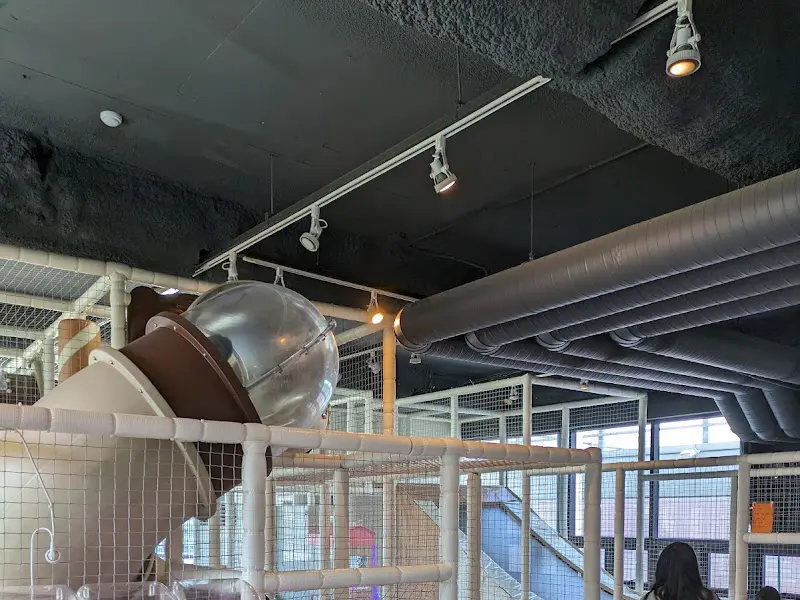 놀이방 천장의 모습