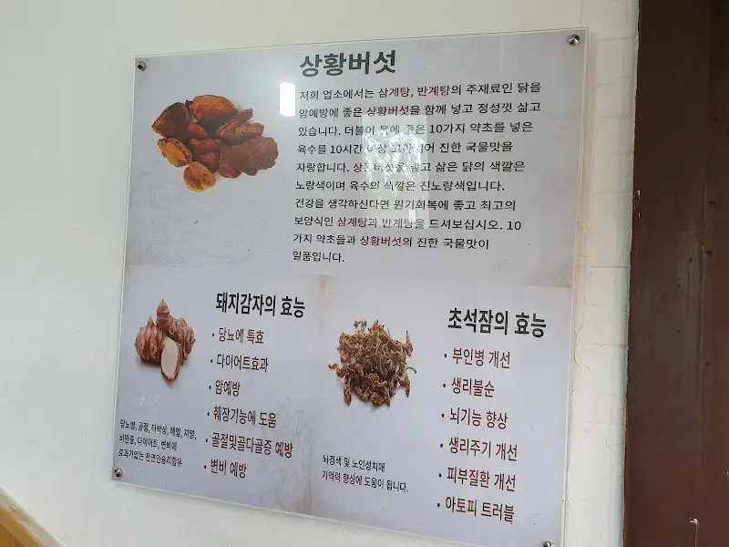 상황버섯 효능 안내