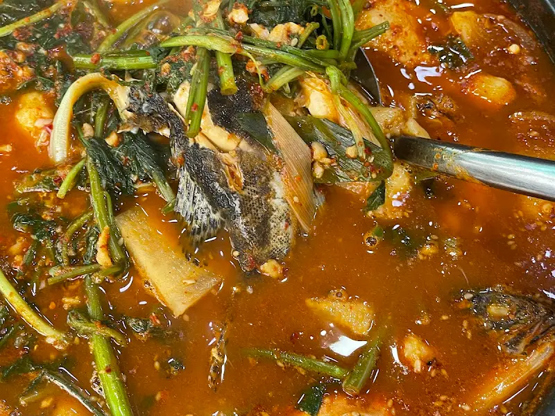 살이 꽉 찬 쏘가리의 자태