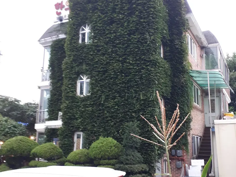 담쟁이 넝쿨로 뒤덮인 식당 외관