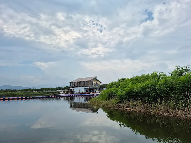 카페 둔치에서 바라본 남대천 풍경