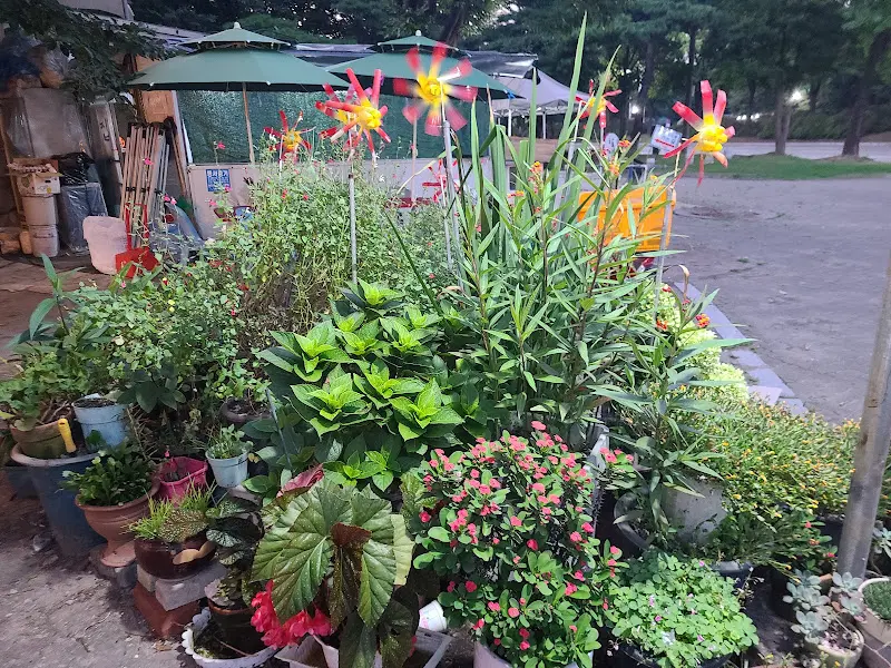 전주잔치집 앞 화단