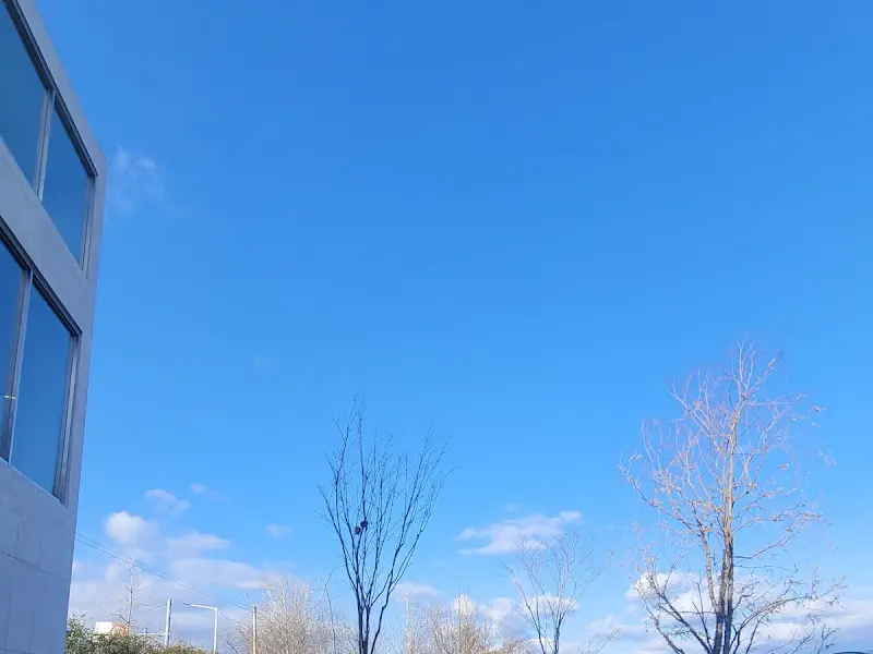 푸른 하늘과 카페