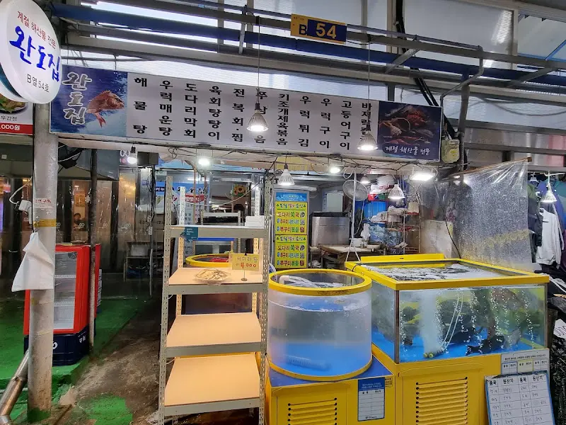 완도집 외부 수조