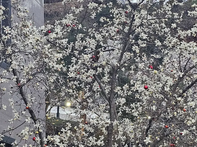 돼지갈비 근접샷