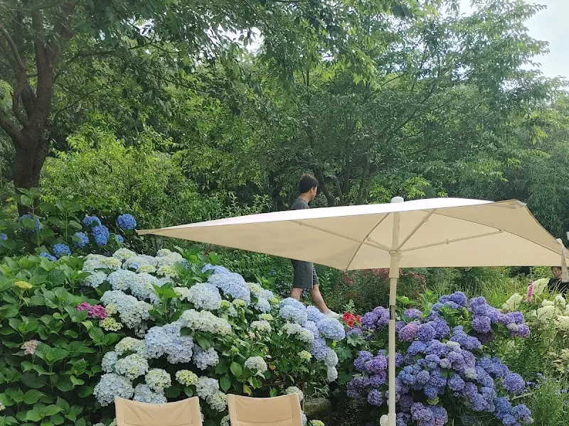 수국이 만발한 정원의 모습