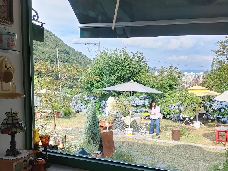 실내에서 바라본 정원의 풍경