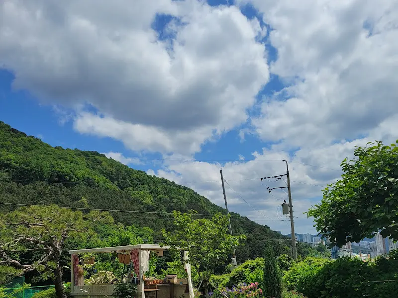 하늘을 배경으로 한 정원의 풍경