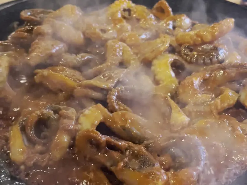 탱글탱글 익어가는 쭈꾸미