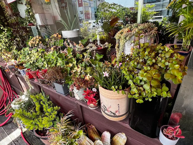 화분들이 놓여있는 가게 외부