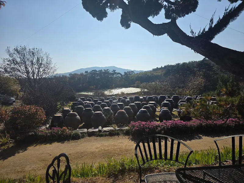 식당 옆 카페에서 바라본 풍경. 장독대와 푸른 자연이 어우러져 아름다운 경치를 자랑한다.