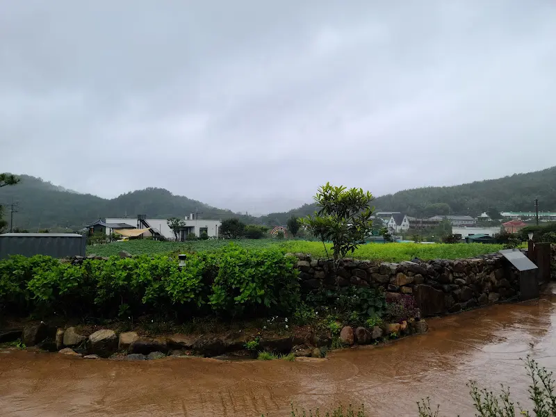 백운차실 주변의 푸르른 풍경