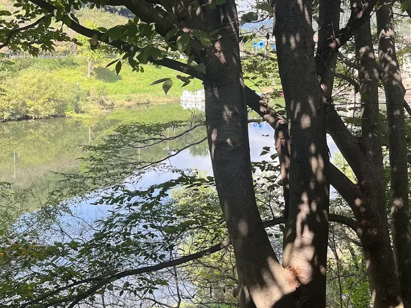 식당에서 바라본 섬진강 풍경