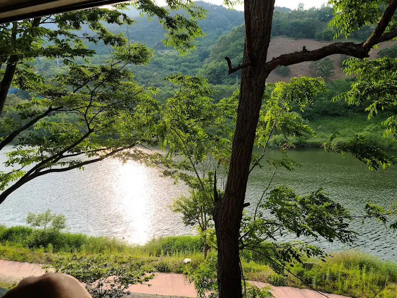 식당에서 보이는 강 풍경