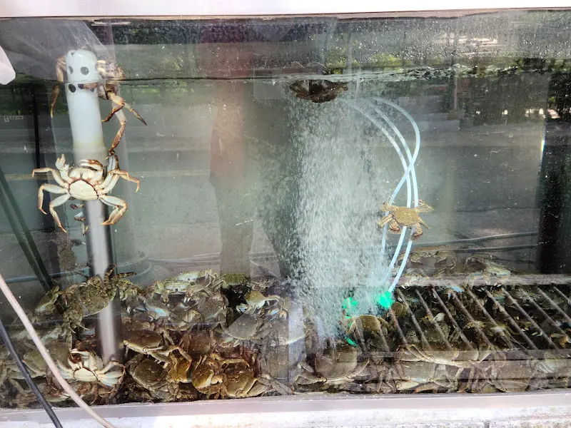 수족관 안의 참게