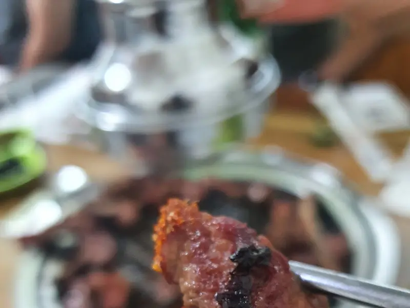 잘 구워진 양고기 한 점