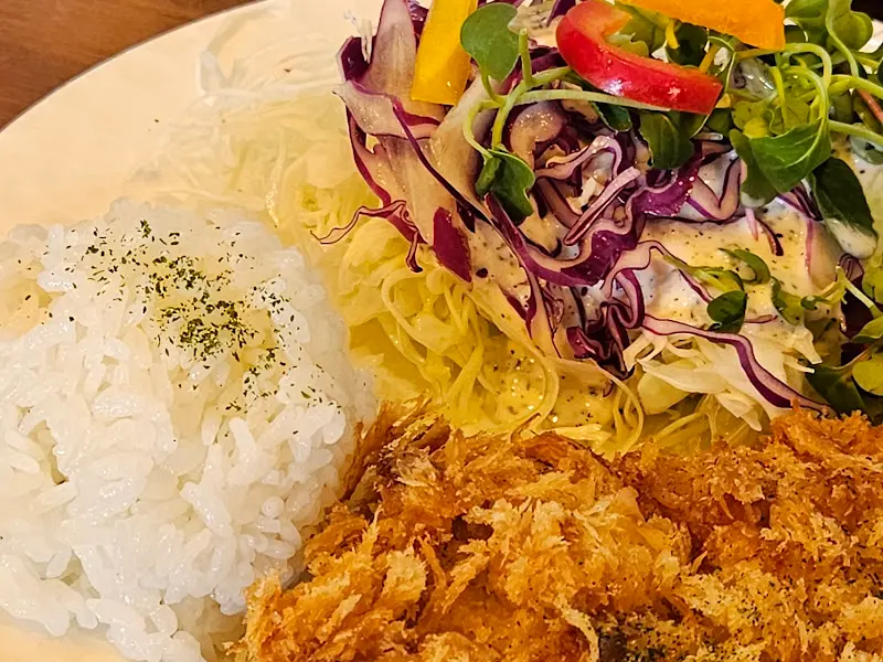 돈까스 샐러드 근접 디테일샷