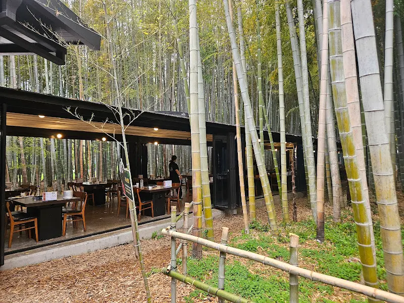 대나무 숲 속 식사 공간