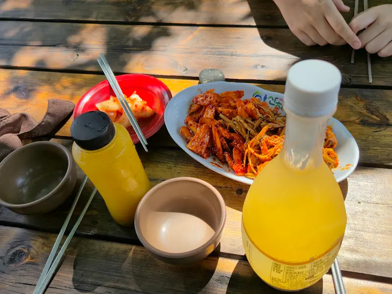 따뜻한 햇살 아래 오징어전