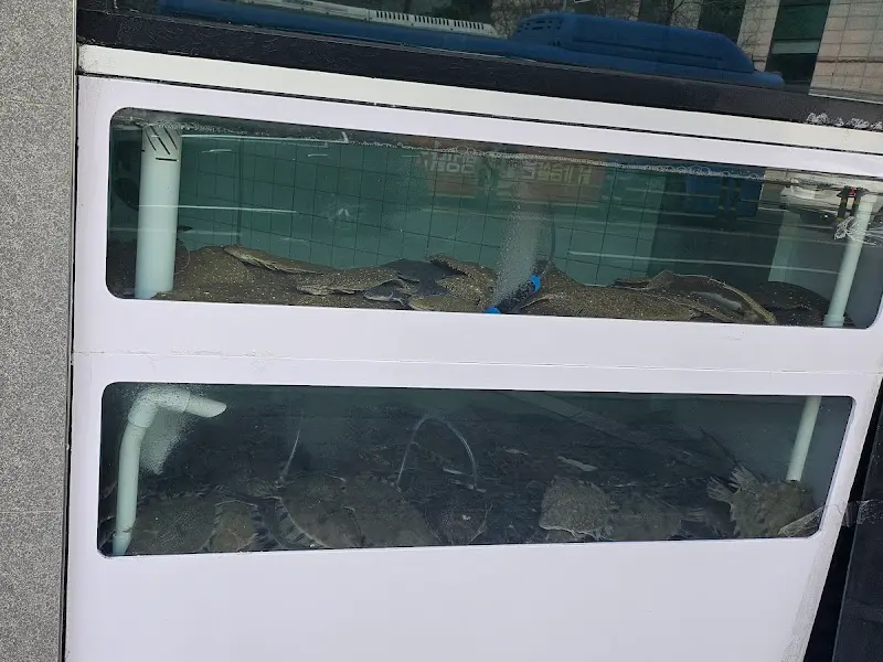 싱싱한 해산물이 가득한 수족관