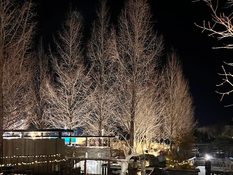 조명이 아름다운 정원