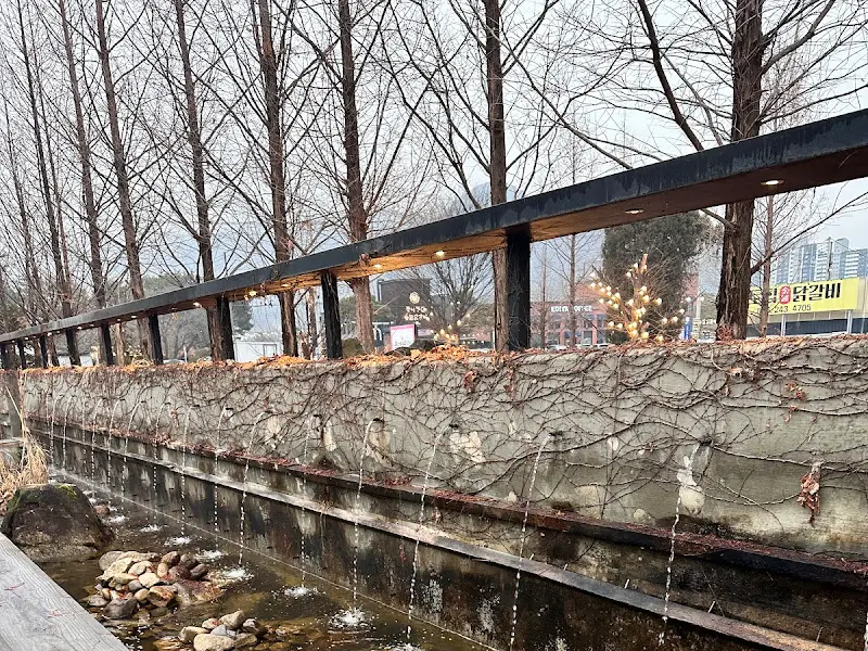 정원의 밤 풍경