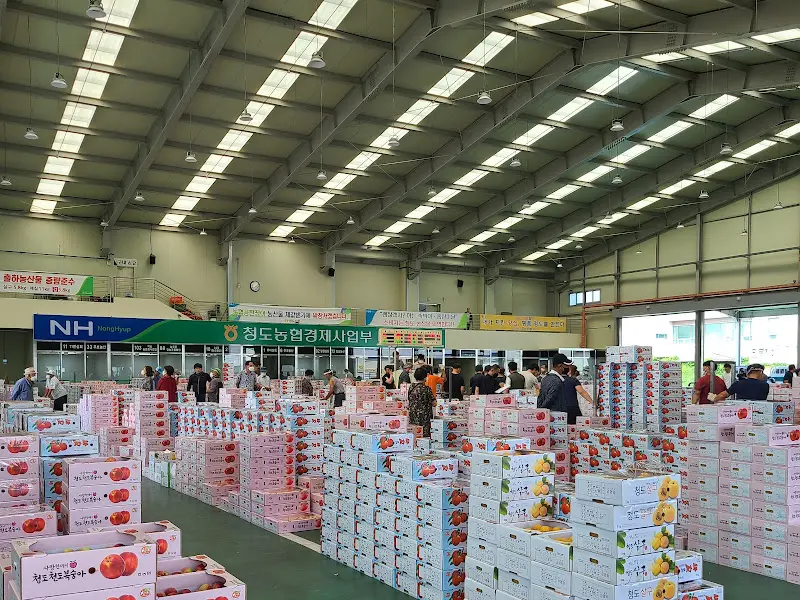 농협 하나로마트 청도농협 경제사업부