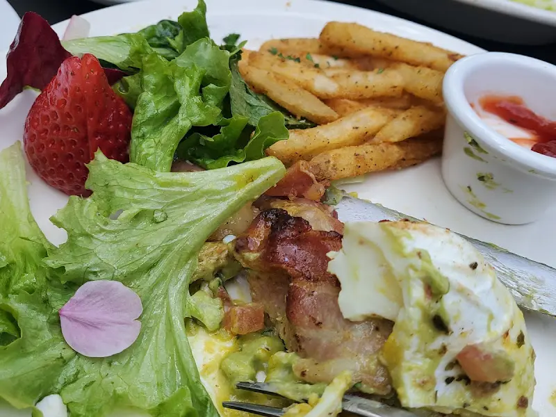 아보카도 샌드위치와 신선한 샐러드, 바삭한 감자튀김