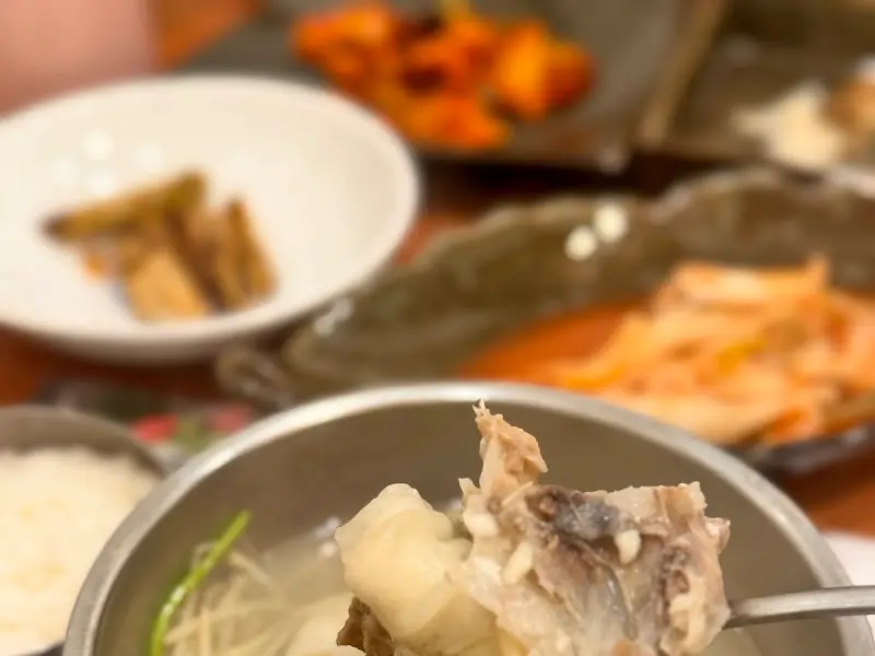 복어 지리 속 복어 살