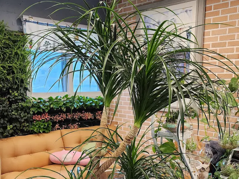 카페 내부 식물 장식