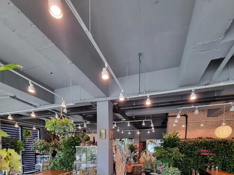 카페 내부 조명과 식물