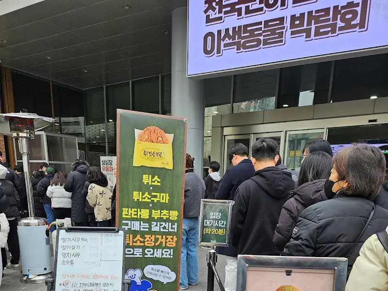 튀소구마 구매 안내