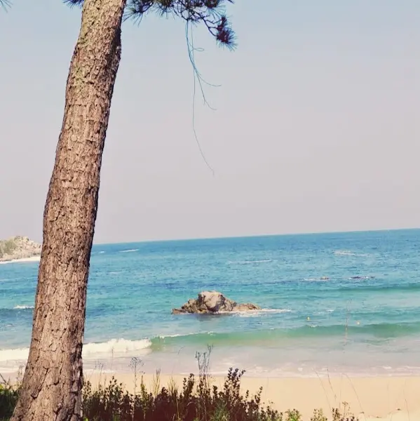 평화로운 바다 풍경