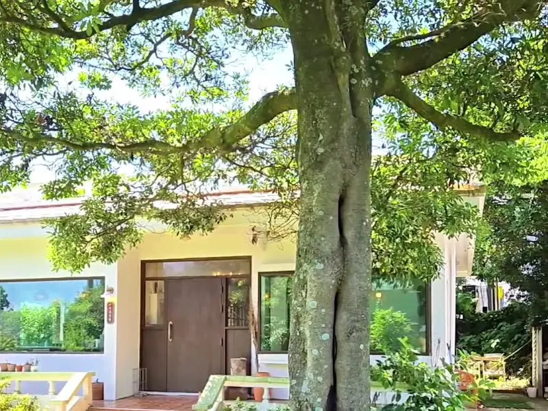 카페 외부 전경