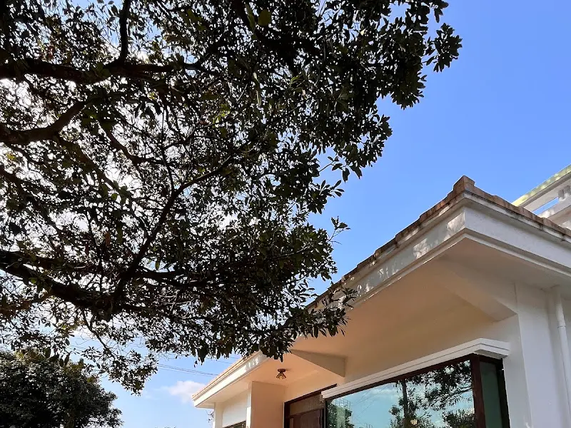 하늘을 향해 뻗은 나무와 카페