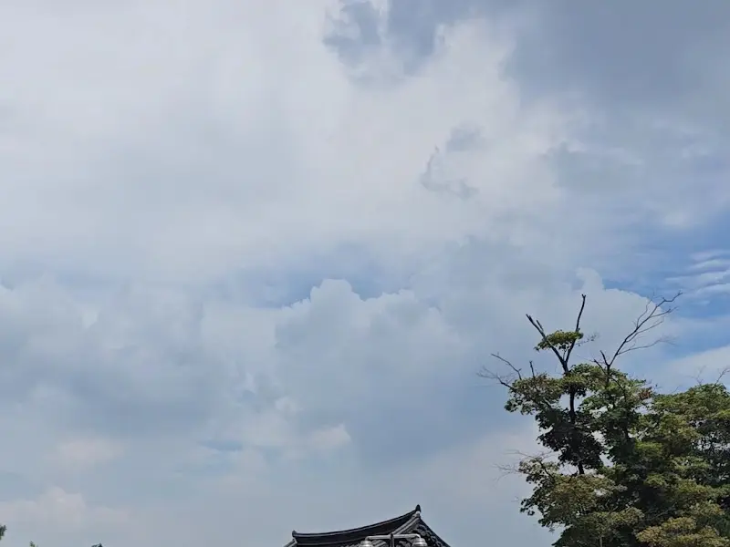 청화공간에서 바라본 하늘