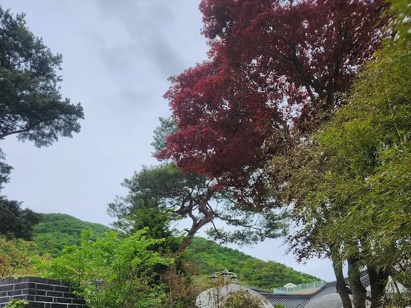 청화공간의 정원 풍경