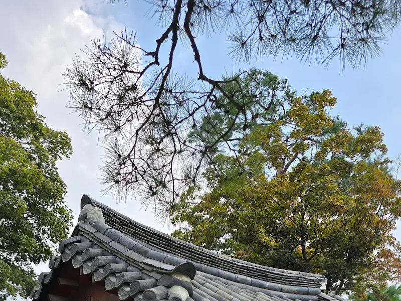 기와 지붕과 푸른 하늘