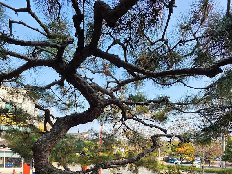 고궁 주변 풍경