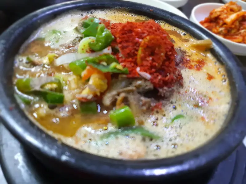 사뎅이 클로즈업