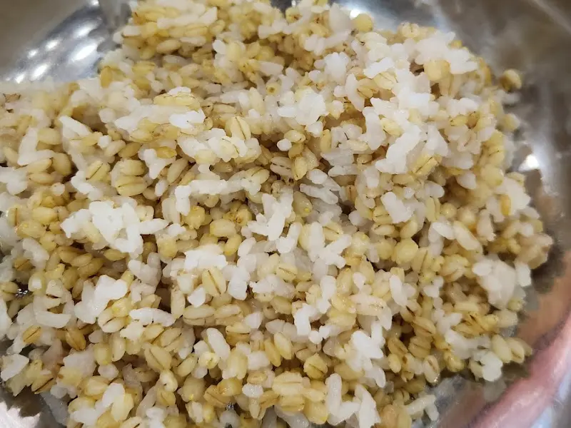 윤기가 흐르는 보리밥