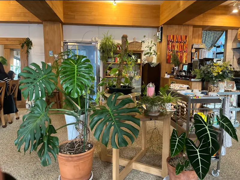 팜팜발리 내부 식물 인테리어